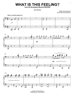 What Is This Feeling? von Stephen Schwartz (Download) 
