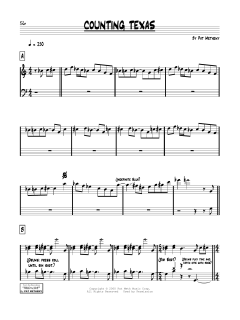 Counting Texas von Pat Metheny (Download) 