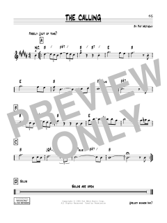 The Calling von Pat Metheny (Download) 