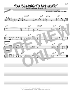 You Belong To My Heart von Ray Gilbert (Download) 