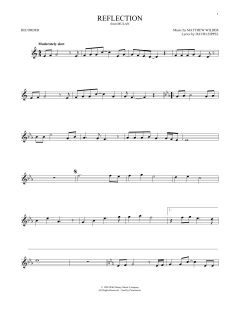 Reflection von David Zippel (Download) 
