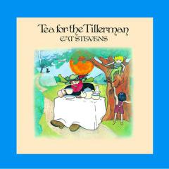 Wild World von Cat Stevens (Download) 