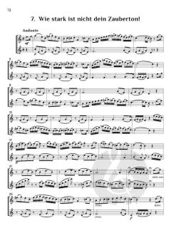17 Flute Duets von Wolfgang Amadeus Mozart (Download) 