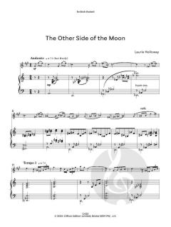 The Other Side of the Moon von Laurie Holloway 