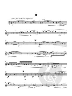 Sonatina von Mary Chandler 