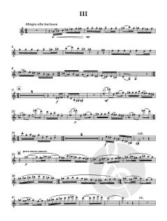 Sonatina von Mary Chandler 