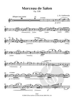 Morceau de Salon op. 228 von Johannes Wenzeslaus Kalliwoda 