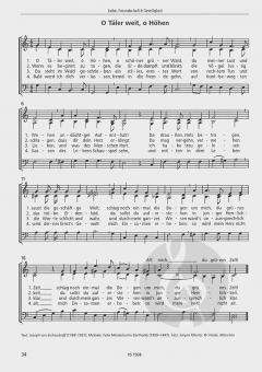 Der kleine Chor (Jürgen Pfiester) 