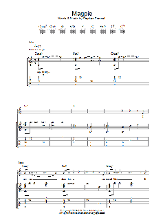 Magpie (Download) 
