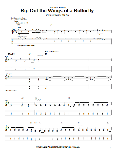 Rip Out The Wings Of A Butterfly (Download) 