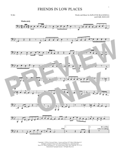 Friends In Low Places (Download) 