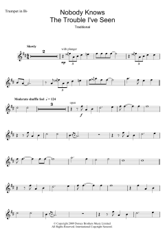 Nobody Knows The Trouble I've Seen (Download) 