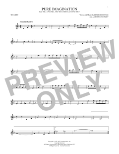 Pure Imagination (Download) 