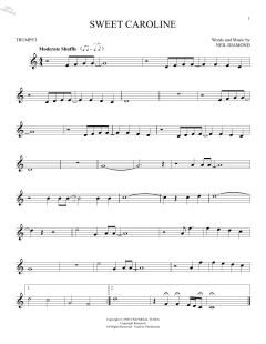 Sweet Caroline (Download) 