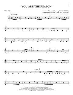 You Are The Reason (Download) 