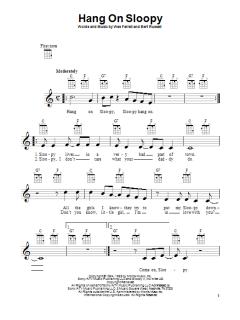 Hang On Sloopy von The McCoys (Download) 