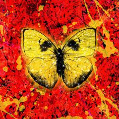 Shivers (Download) 