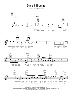 Small Bump (Download) 