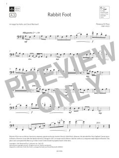 Rabbit Foot von Florence B. Price (Download) 