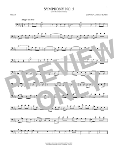Symphony No. 5 In C Minor, First Movement Excerpt von Ludwig van Beethoven (Download) 