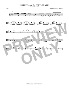 Sheep May Safely Graze von Johann Sebastian Bach (Download) 