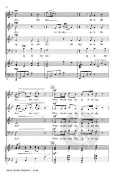 What Do the Stars Do? von Bruce W. Tippette (Download) 