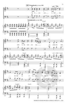 Moments from Wicked von Stephen Schwartz (Download) 