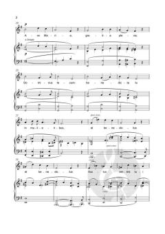 Ave Maria  von César Franck (Download) 