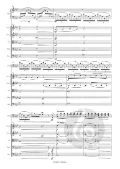 Concerto for Marimba and Strings von Emmanuel Sejourne 