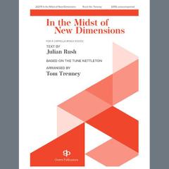 In The Midst Of New Dimensions (Download) 