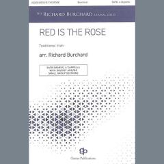 Red Is the Rose (Download) 