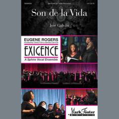 Son De La Vida (Download) 