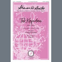 Tek Kapidan 
