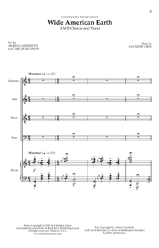 Wide American Earth von Saunder Choi (Download) 