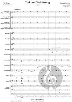 Tod und Verklärung (Finale) von Richard Strauss (Download) 