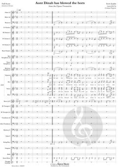 Aunt Dinah Has Blowed The Horn von Scott Joplin (Download) 