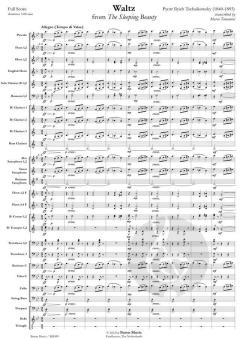 Waltz from 'The Sleeping Beauty' von Peter Iljitsch Tschaikowsky (Download) 