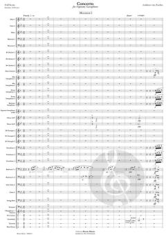 Concerto von Andreas van Zoelen (Download) 