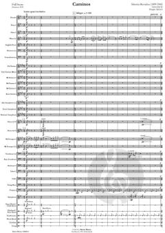 Caminos von Silvestre Revueltas (Download) 