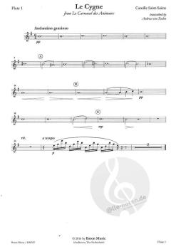 Le Cygne - The Swan (Camille Saint-Saëns) 