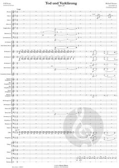 Tod und Verklärung op. 24 von Richard Strauss (Download) 