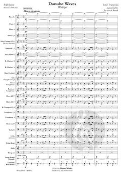 Danube Waves von Iosif Ivanovici (Download) 