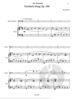 Northern Song von David Braid 