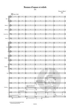 Neumes d'espace et reliefs von François Morel 