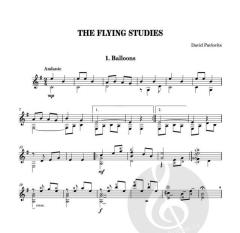 The Flying Studies von David Pavlovits 