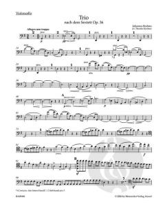 Trio von Johannes Brahms 