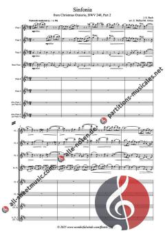 Sinfonia from Christmas Oratorio BWV 248, Part 2 von Johann Sebastian Bach 