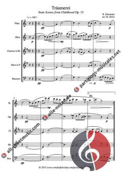 Traumerei von Robert Schumann 