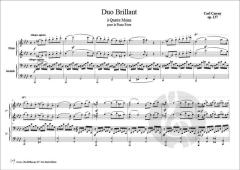 Duo brillant op. 137 von Carl Czerny 