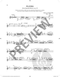 Sheila M. Nelson's Romantic Violinist 